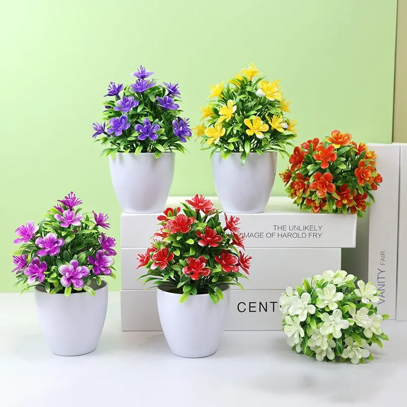 Plantes Exotiques Intérieur