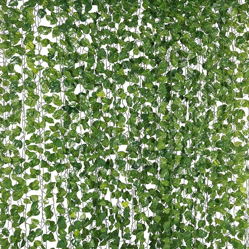 Plantes Et Jardin