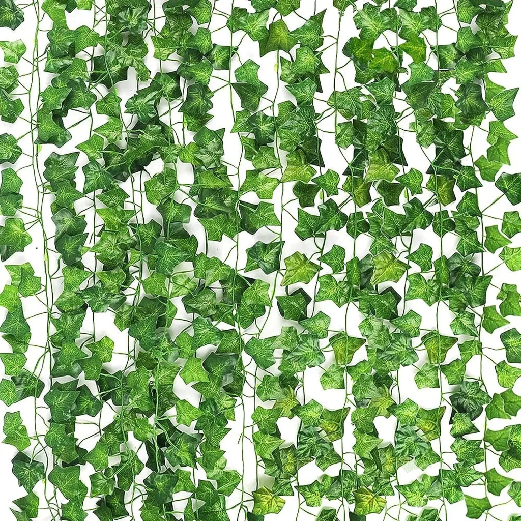 Plante Et Jardin