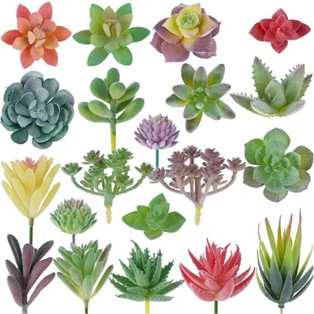Plante Fille De LʼAir