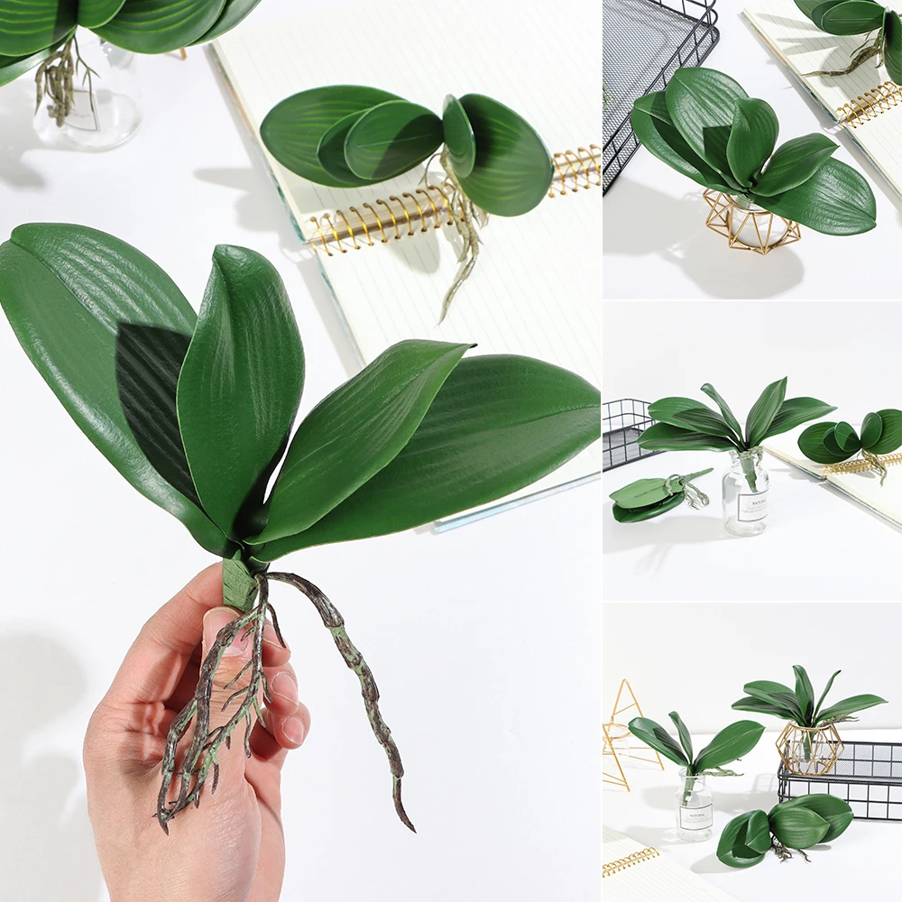 Plantes Plein Soleil Sans Arrosage