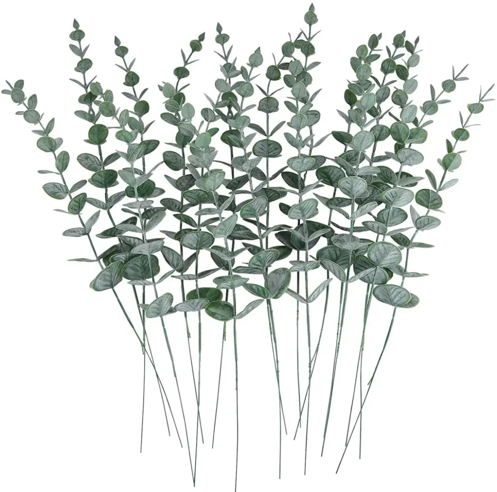 Plante Et Jardin