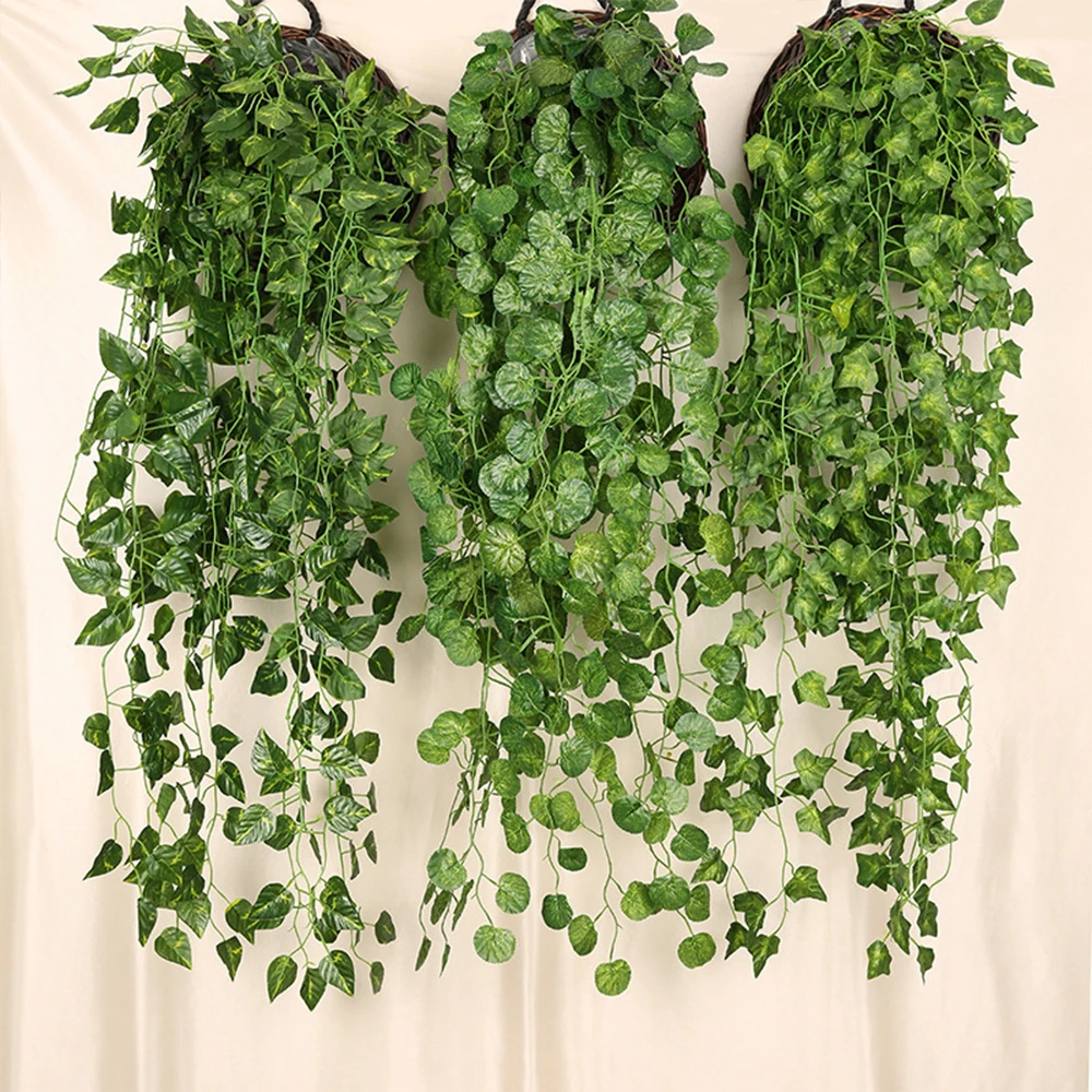 Plantes Rares