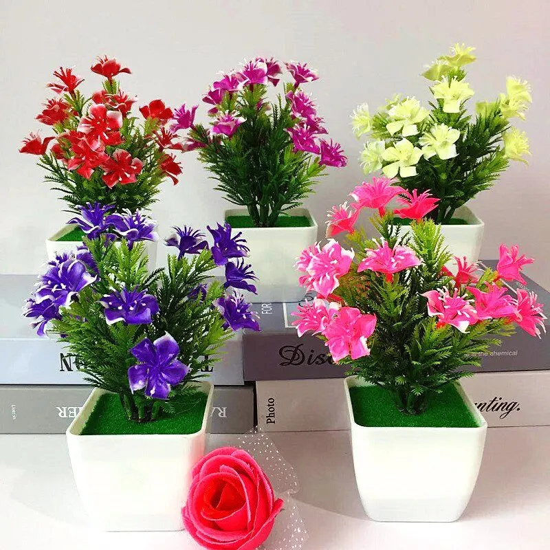 Plantes Et Parfums