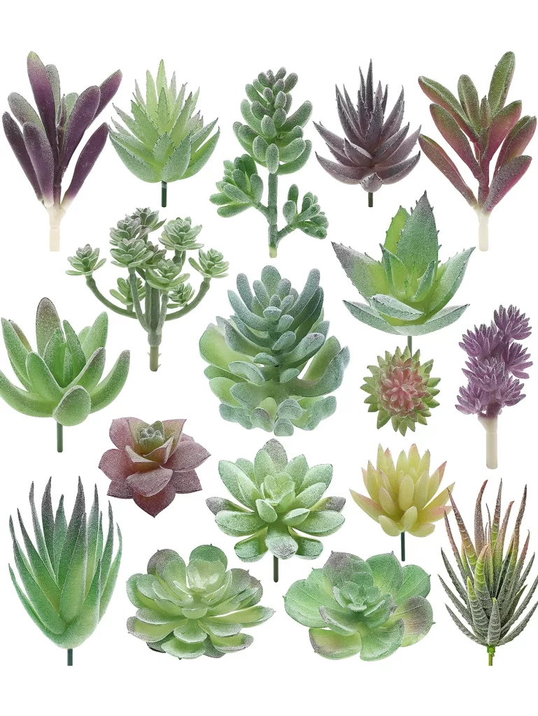 Plante Dans Un Bocal