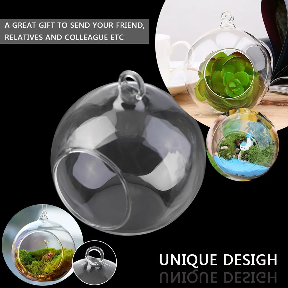 Plantes Sous Verre