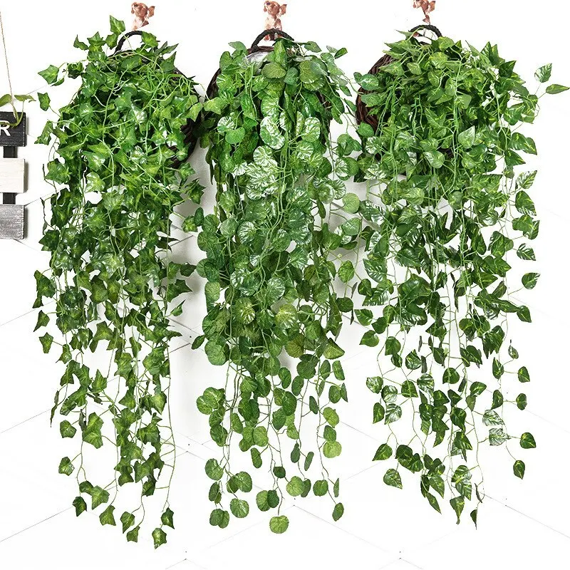 Plantes Plein Soleil Sans Arrosage