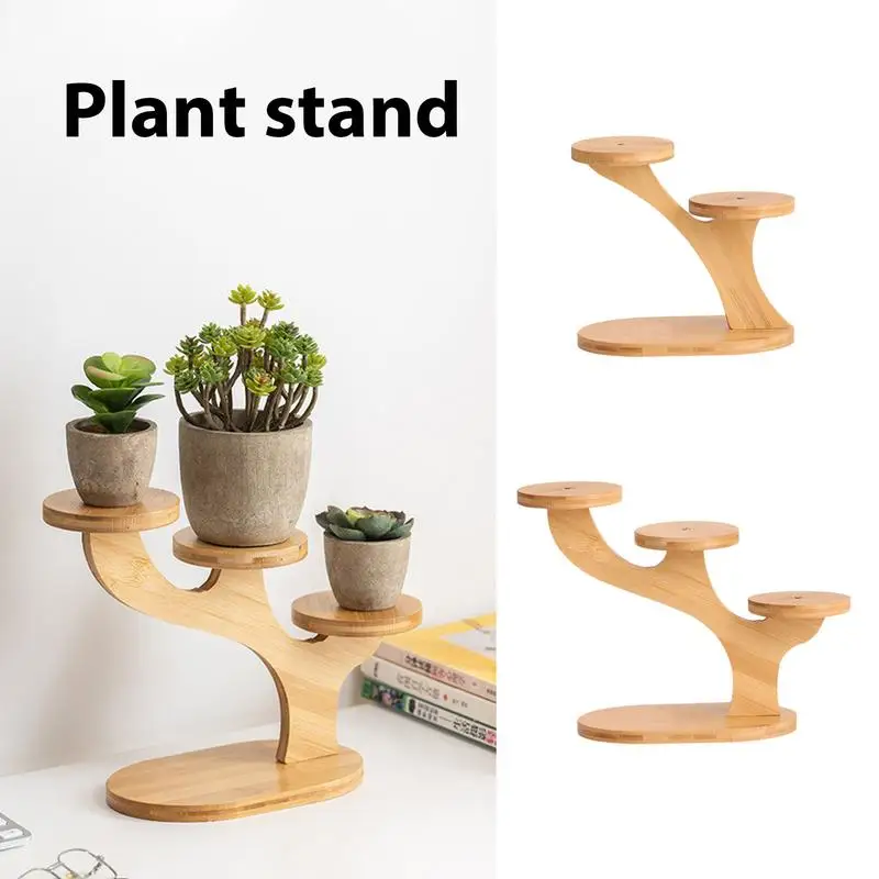 Plantes Robustes Pour Balcon