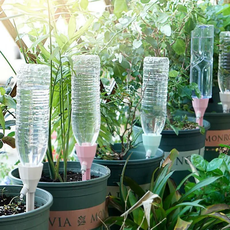 Plantes Plein Soleil Sans Arrosage