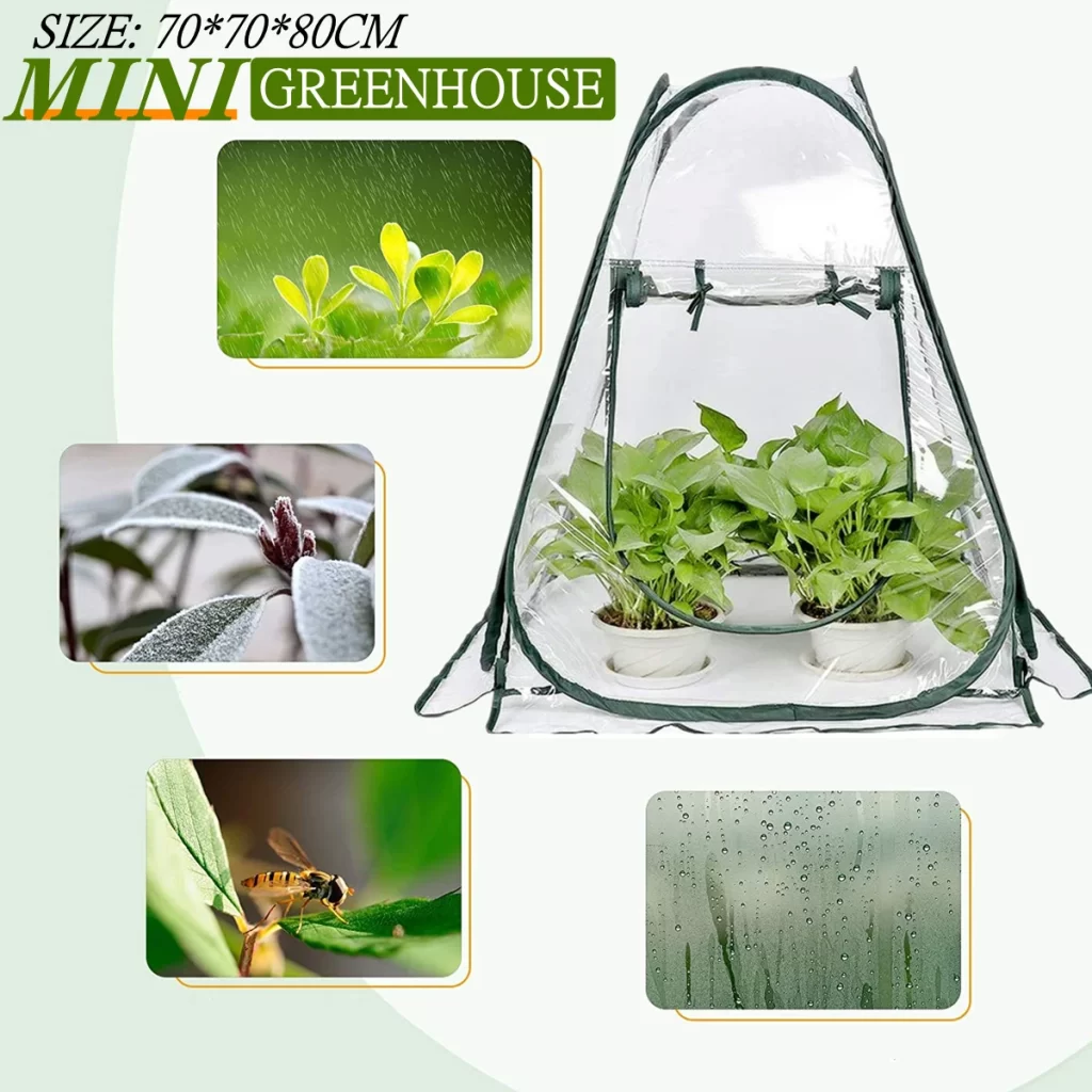 Serre Potager