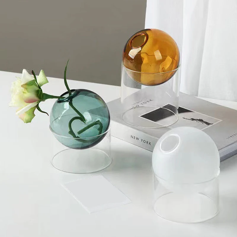 Plantes Sous Verre