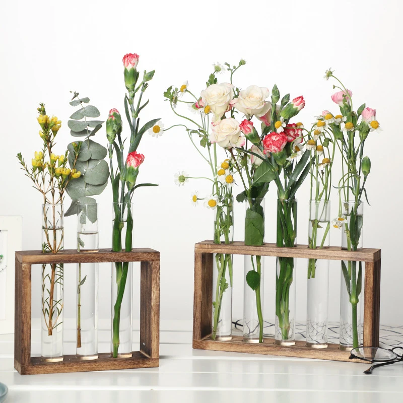 Plantes Sous Verre