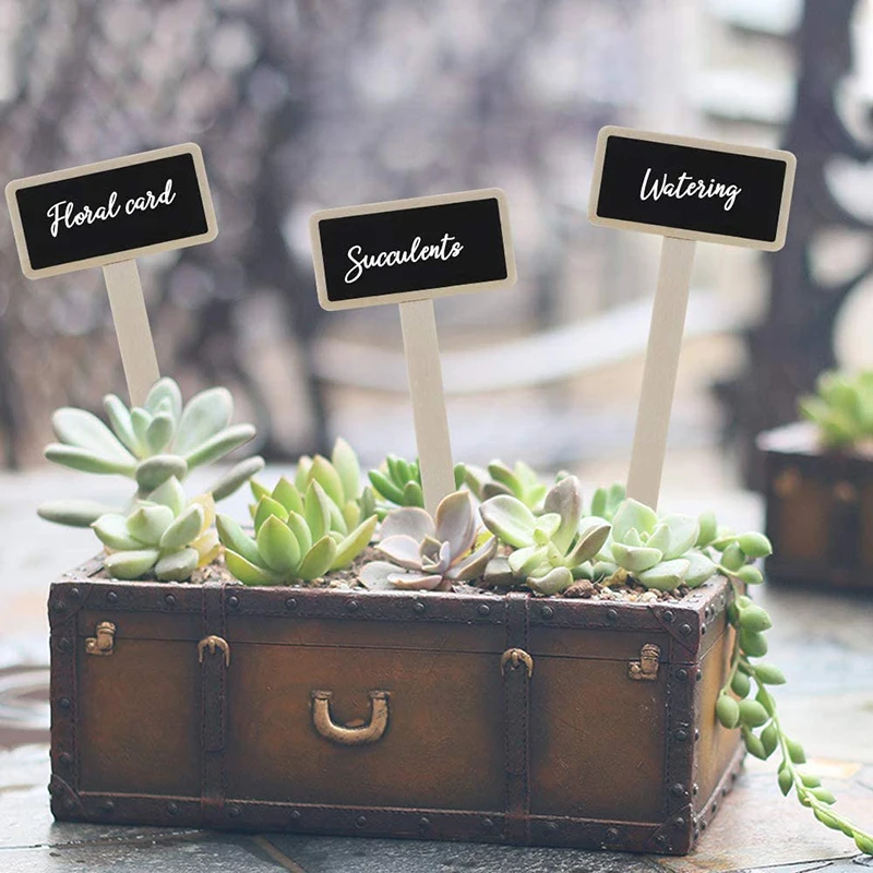 Mini tableau noir en bois pour plantes