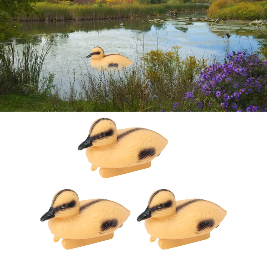 Bassin Aquatique Jardin