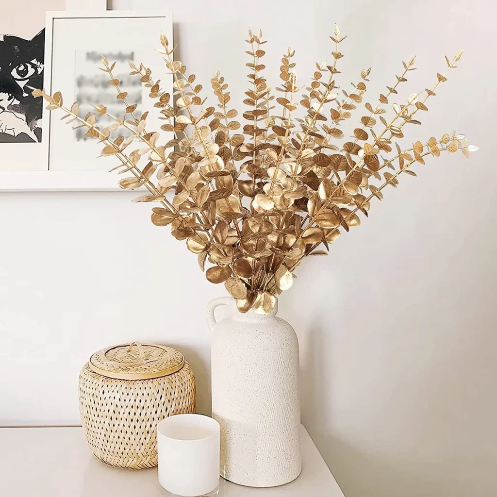Eucalyptus Plante DʼIntérieur