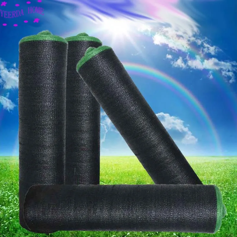 Toit Pvc Transparent