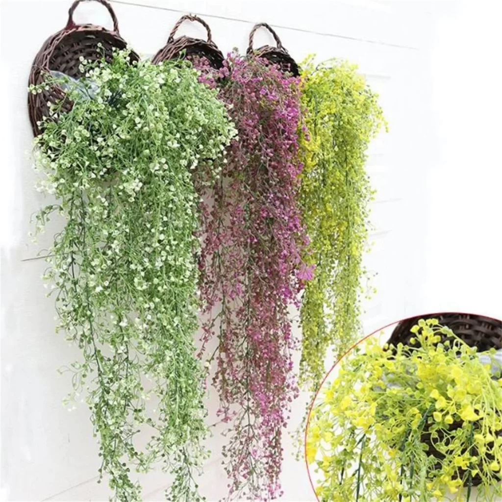 Plante Feuilles Violettes