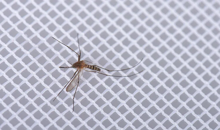 Moustiquaire en fibre de verre