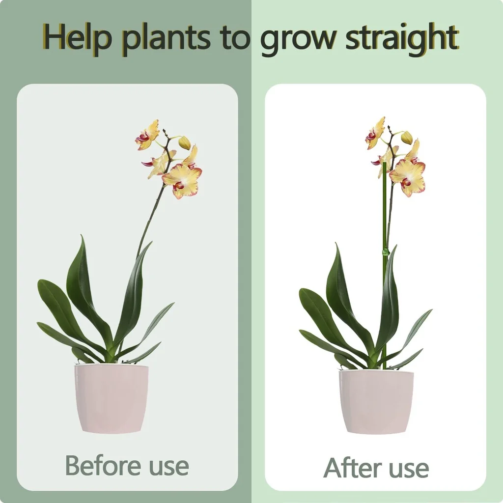 Image de l'aide pour le jardin