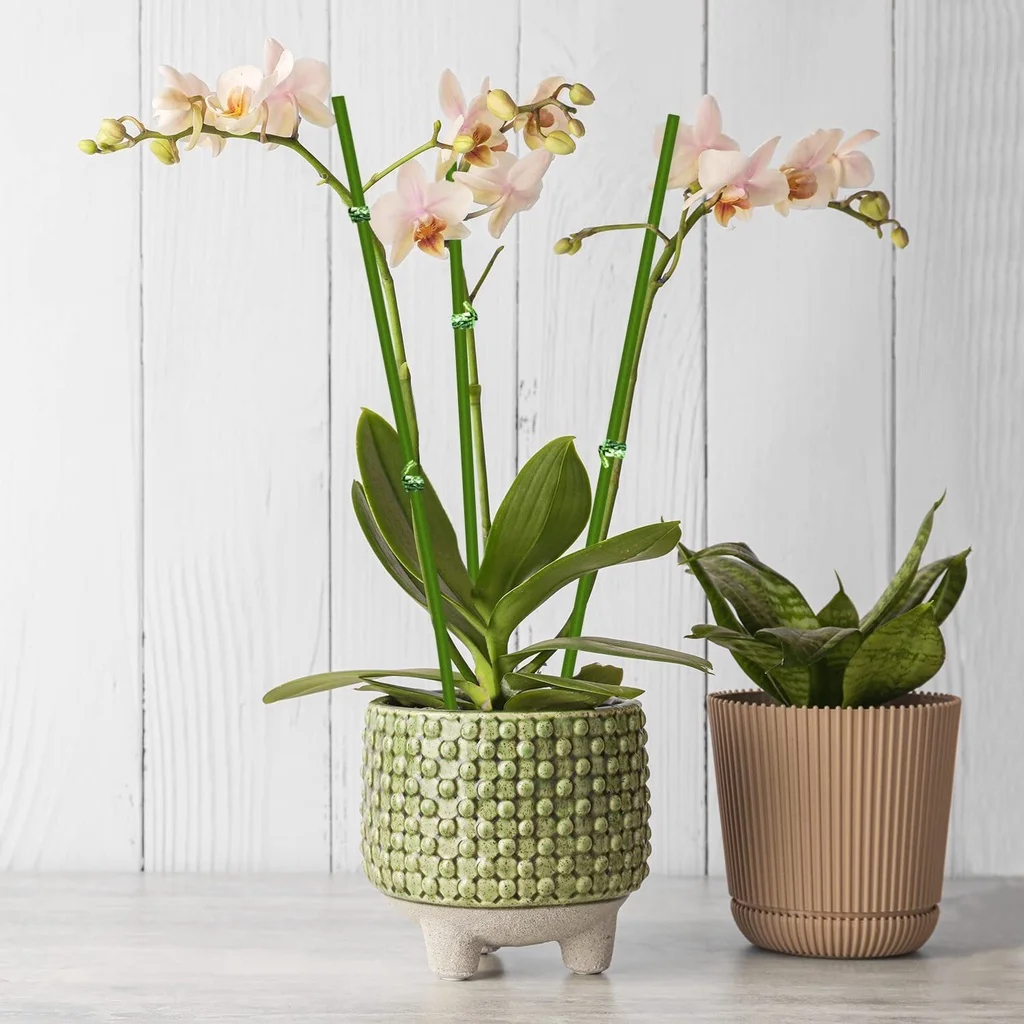 Image de l'utilisation multiple