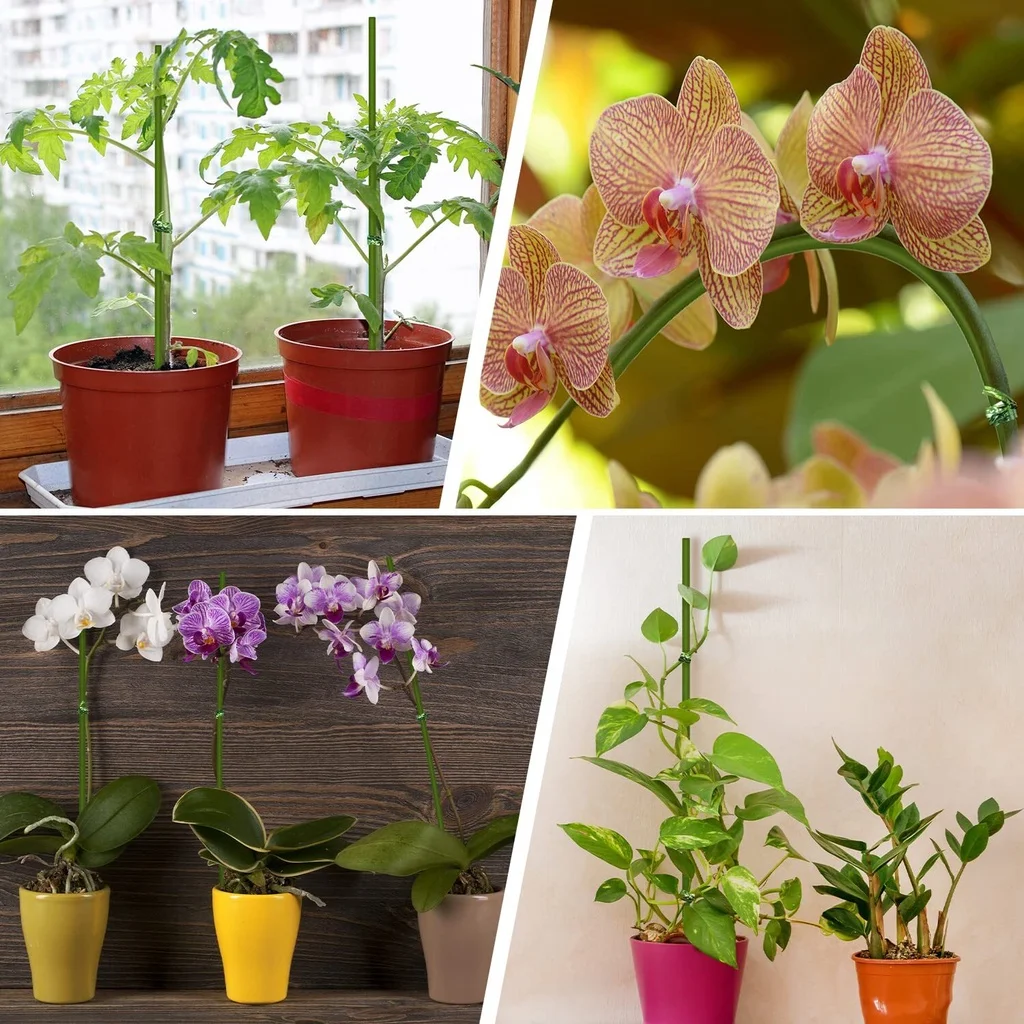 Image de l'utilisation multiple