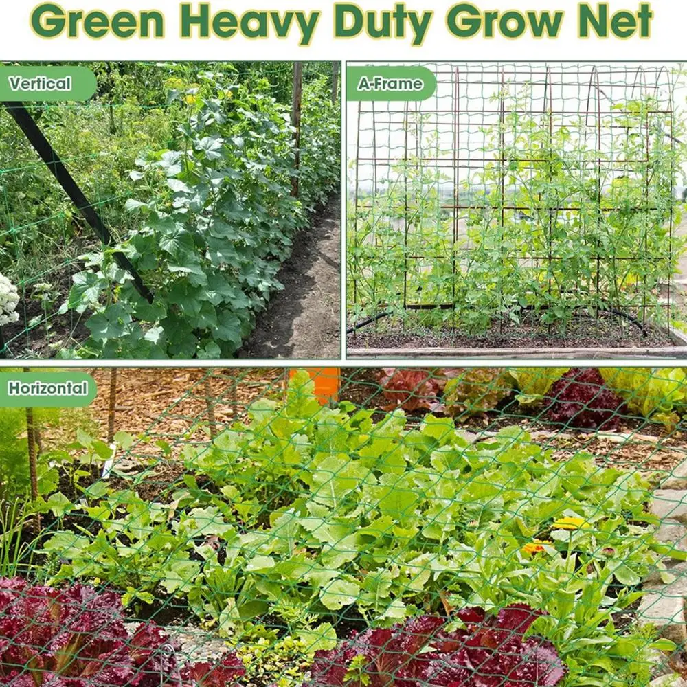 Filet en treillis pour plantes grimpantes