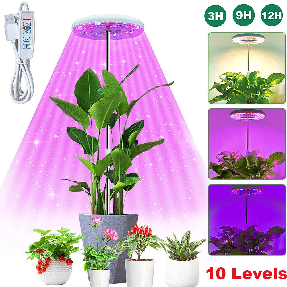 Lampes De Croissance Pour Plantes