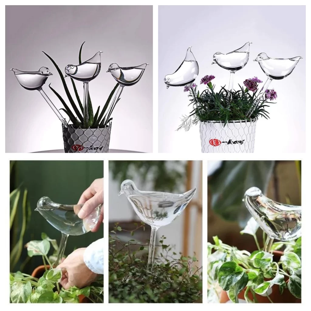 Bulle DʼEau Plante