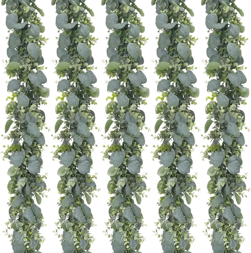 Eucalyptus Plante DʼIntérieur
