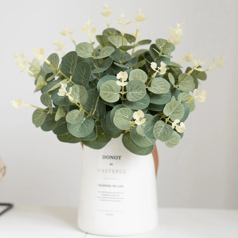 Eucalyptus Plante DʼIntérieur