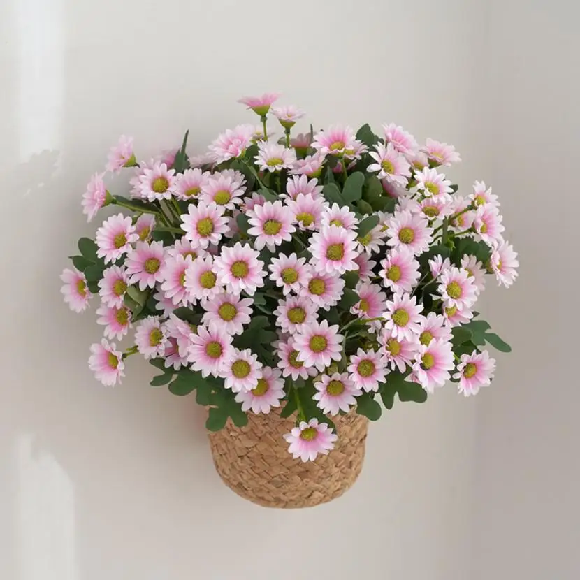 Abris De Jardin Soldes