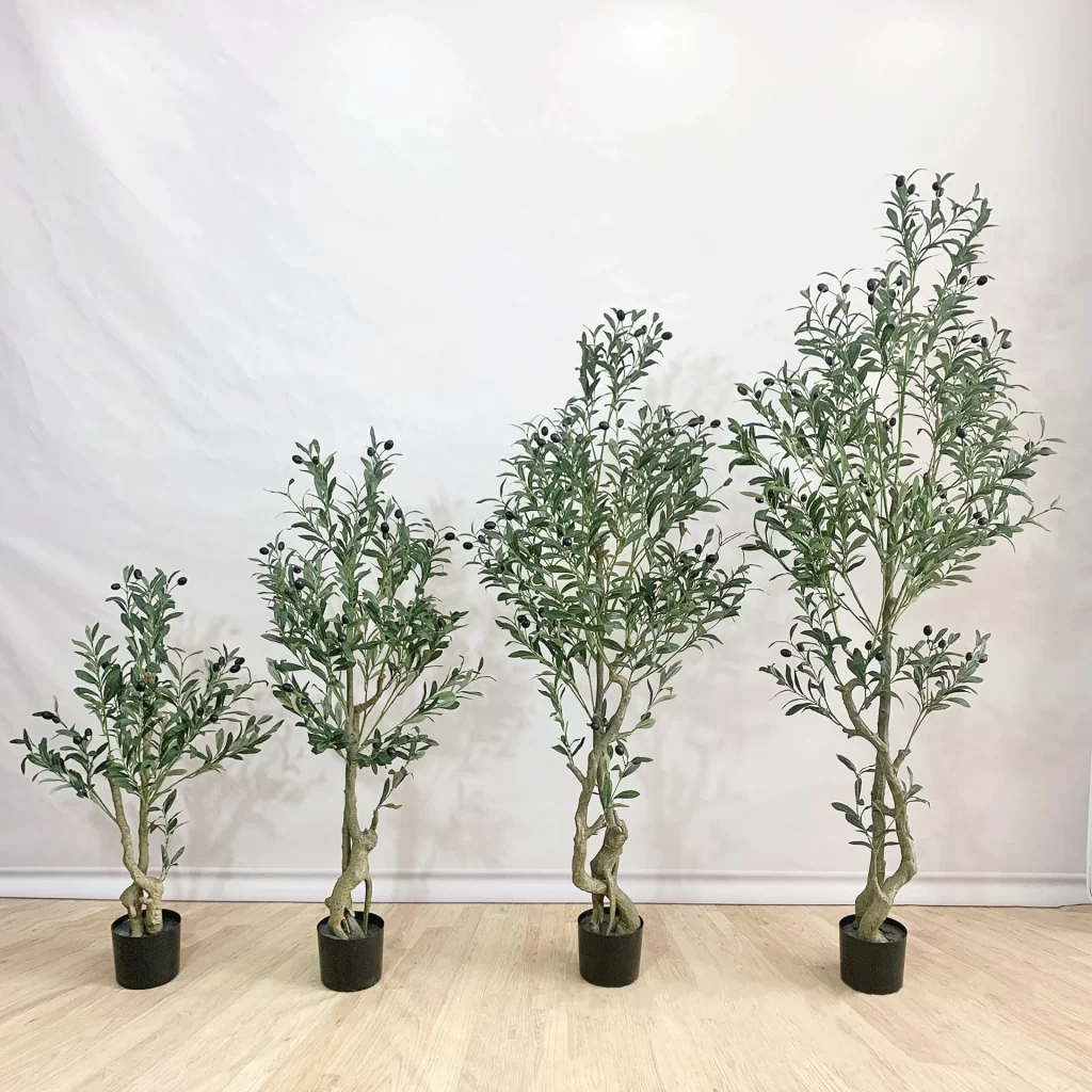 Plante Lys En Pot