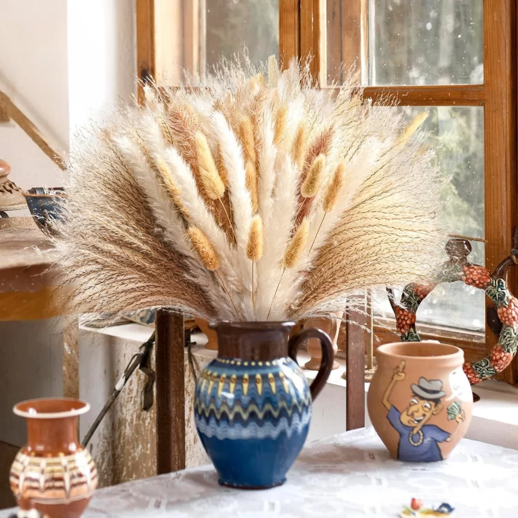 Livraison Plante Intérieur