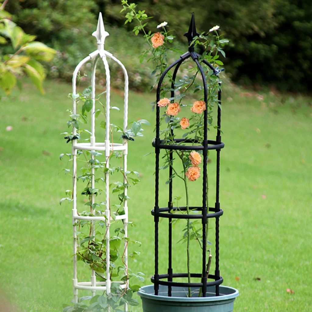 Fil Pour Plante Grimpante