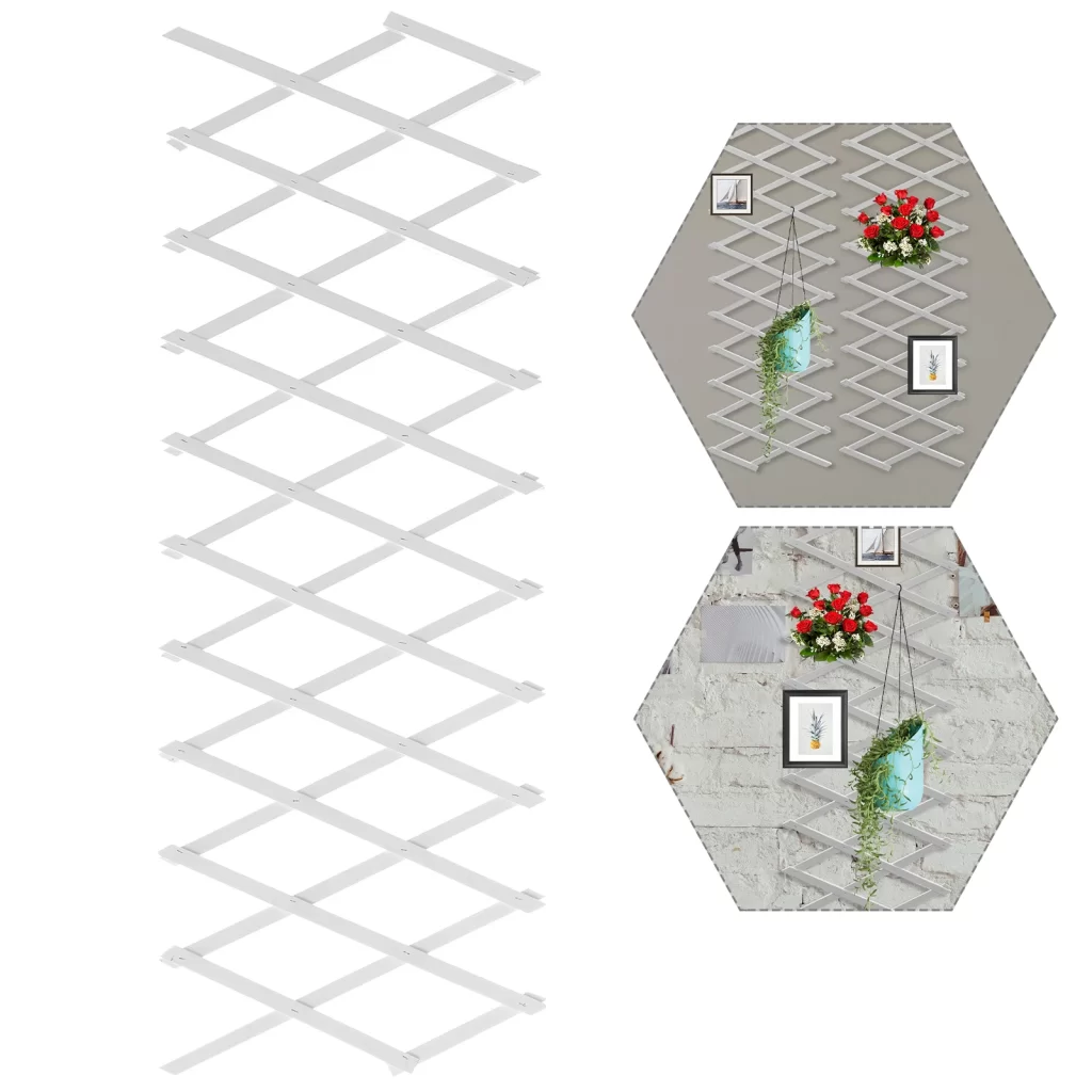 Mur DʼEscalade Jardin