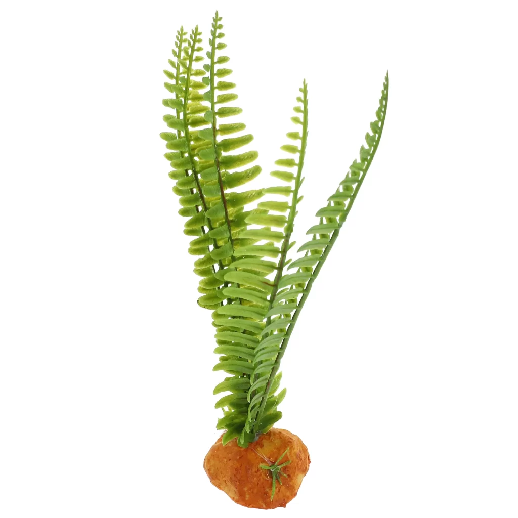 Terrarium Fermé Plante