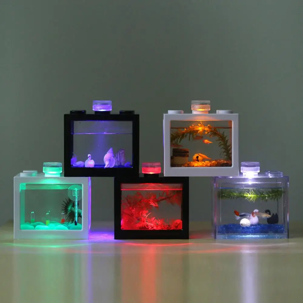 Plantes Aquarium Sans Sol Nutritif