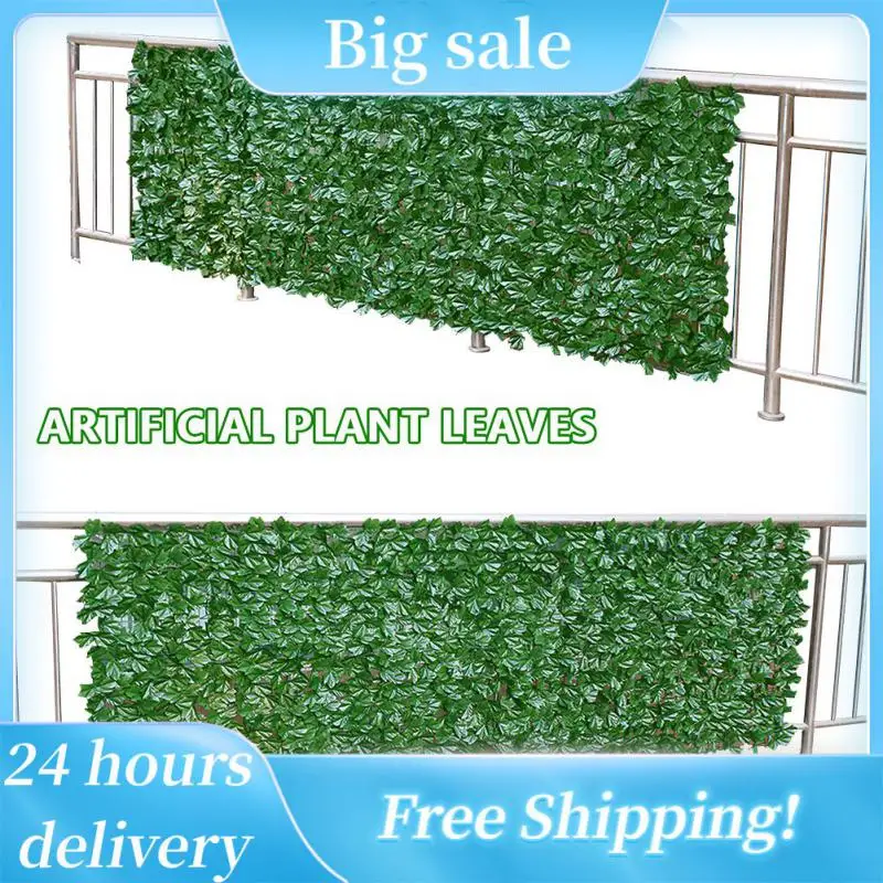 Plantes Ventre Plat