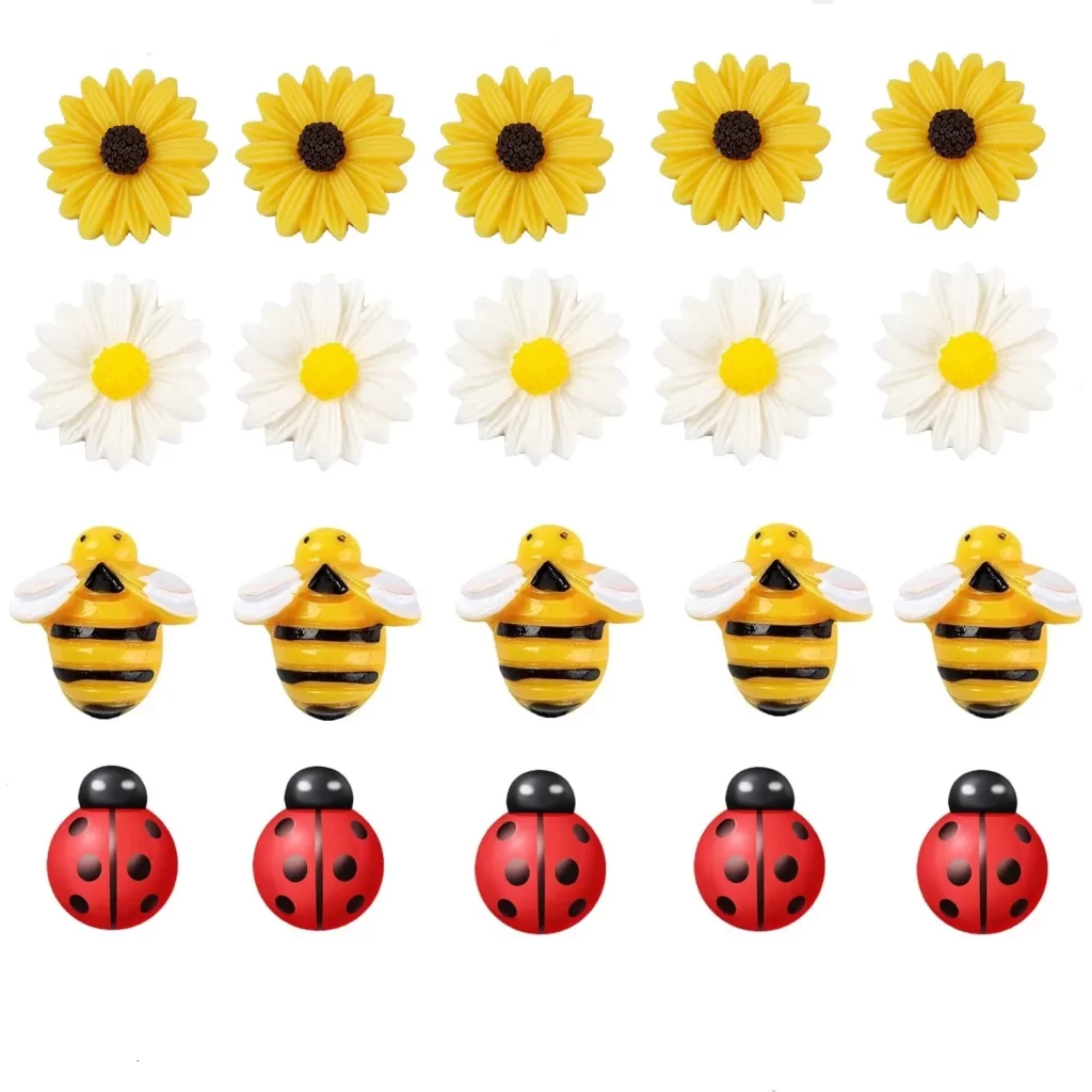 Plantes Ventre Plat