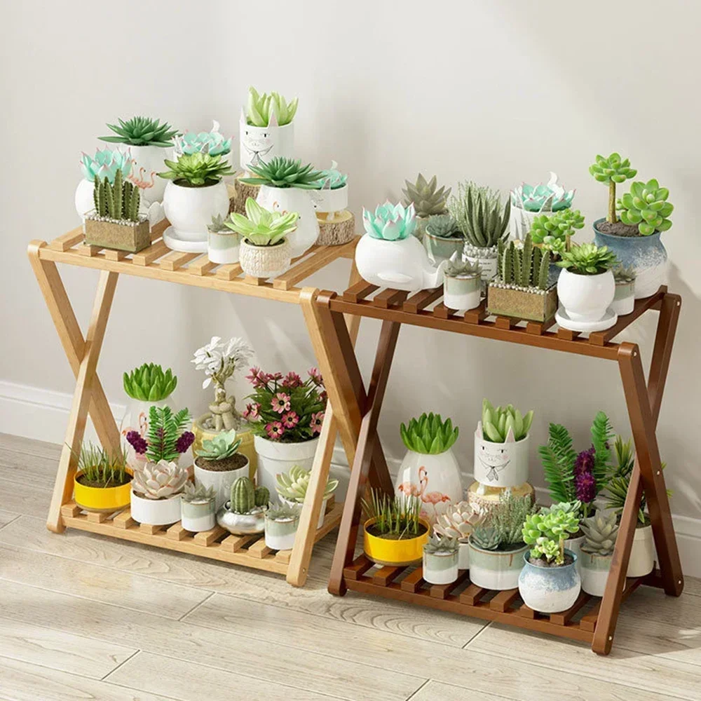 Vitrine Plantes