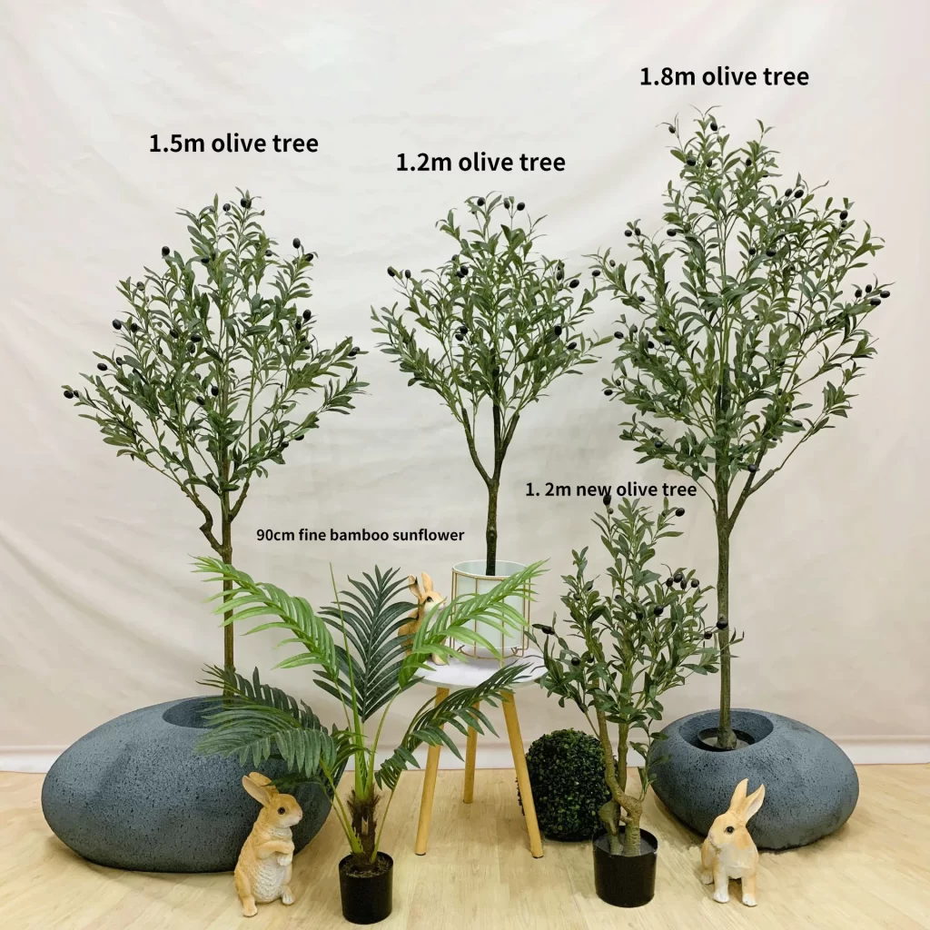Plante D Eucalyptus