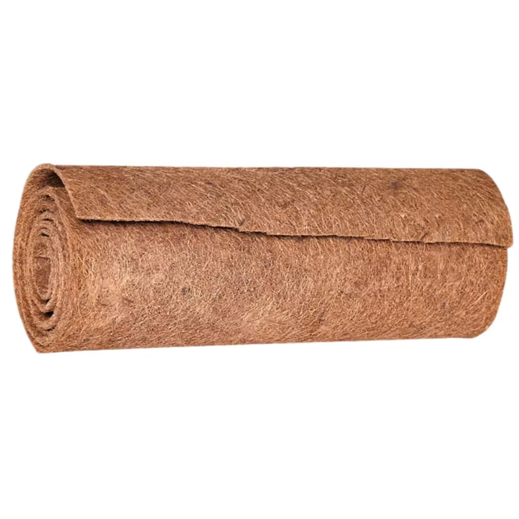Fibre De Coco Plante DʼIntérieur