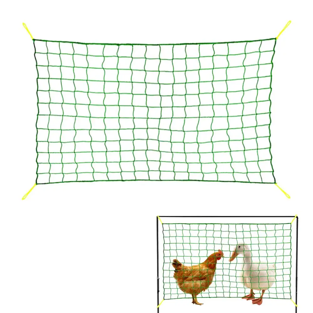 Filet en treillis pour plantes grimpantes