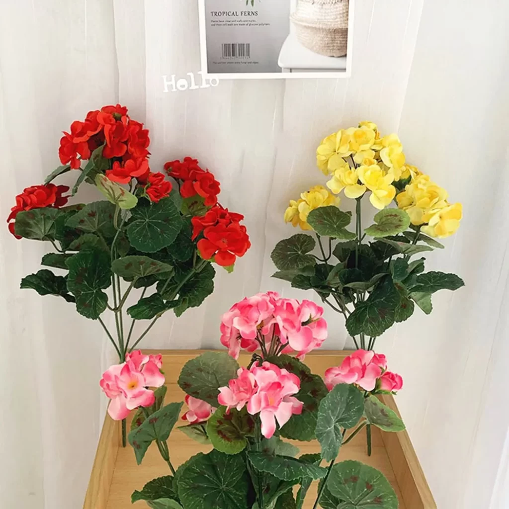 Plante Retombante Fleur Rouge