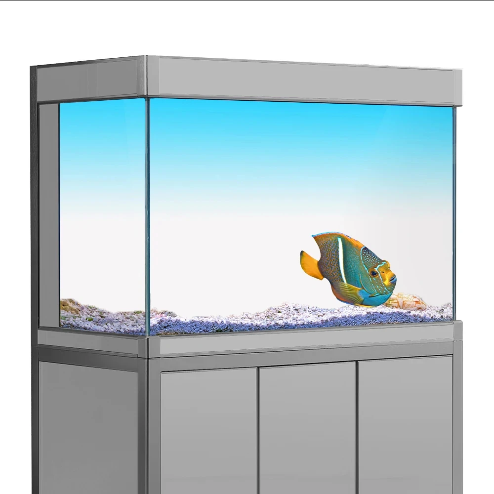 Plantes Aquarium Sans Sol Nutritif