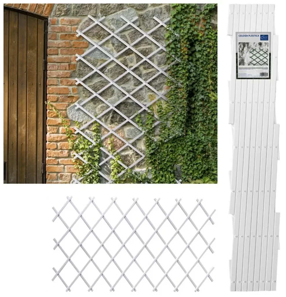 Couper Bordure Jardin