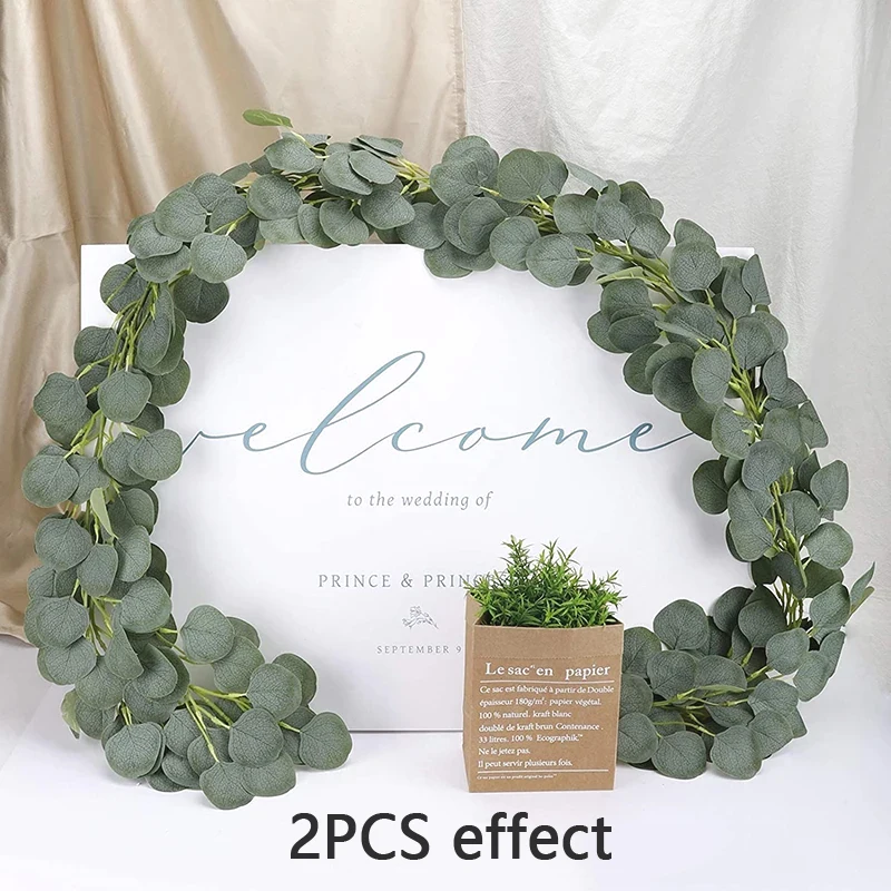 Plante D Eucalyptus