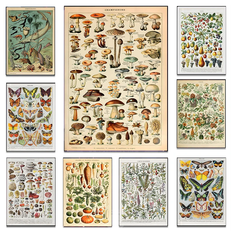 Plante DʼIntérieur Livraison