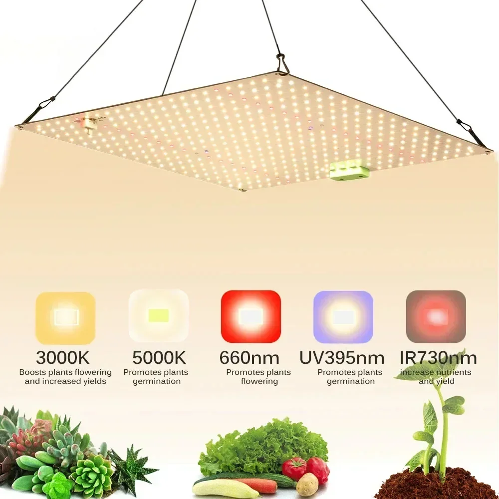 Lampe Croissance Plante
