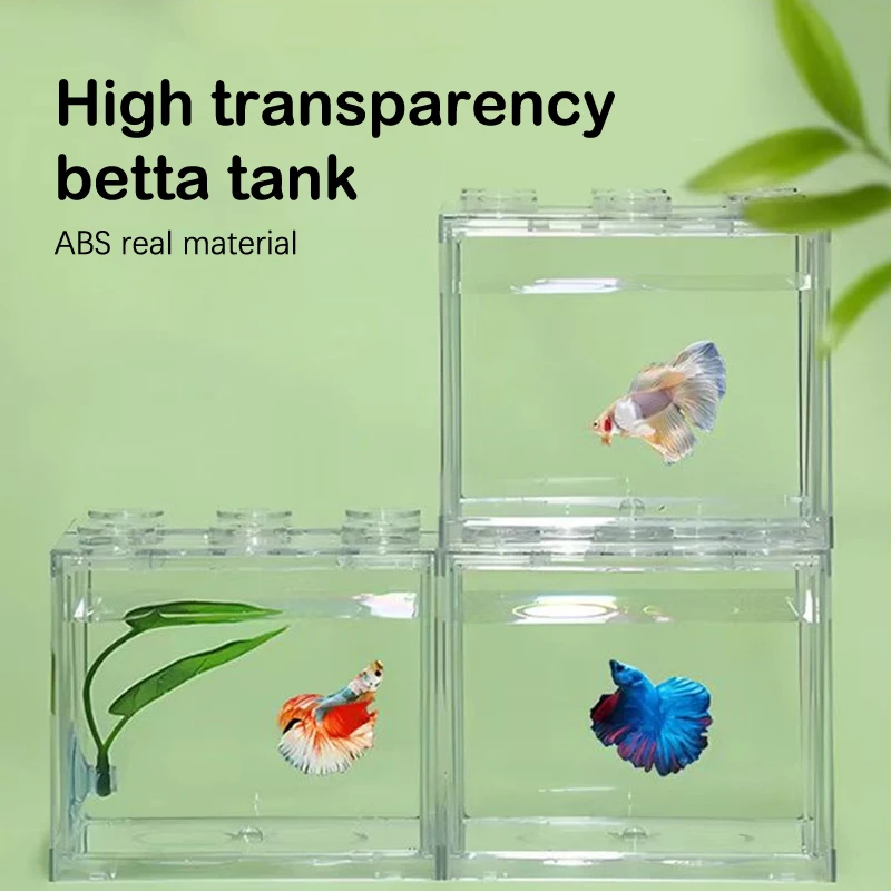 Plantes Aquarium Sans Sol Nutritif